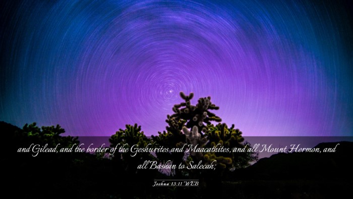 Picture 03 - Joshua 13:11 WEB Desktop Wallpaper - and Gilead, and the border of the Geshurites and - Desktop Bible Verse Wallpaper