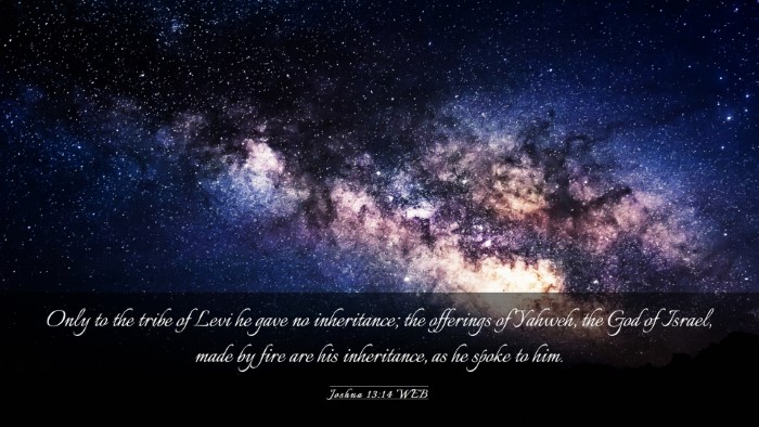 Picture 03 - Joshua 13:14 WEB Desktop Wallpaper - Only to the tribe of Levi he gave no inheritance; - Desktop Bible Verse Wallpaper