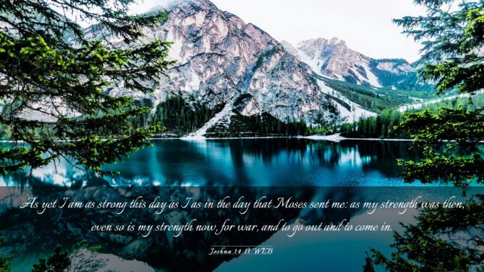 Picture 03 - Joshua 14:11 WEB Desktop Wallpaper - As yet I am as strong this day as I as in the day - Desktop Bible Verse Wallpaper