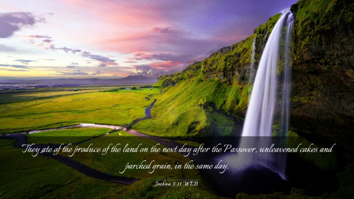 Picture 03 - Joshua 5:11 WEB Desktop Wallpaper - They ate of the produce of the land on the next - Desktop Bible Verse Wallpaper