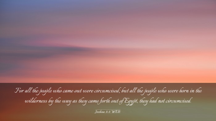 Picture 03 - Joshua 5:5 WEB Desktop Wallpaper - For all the people who came out were circumcised; - Desktop Bible Verse Wallpaper