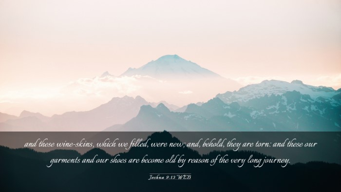 Picture 03 - Joshua 9:13 WEB Desktop Wallpaper - and these wine-skins, which we filled, were new; - Desktop Bible Verse Wallpaper