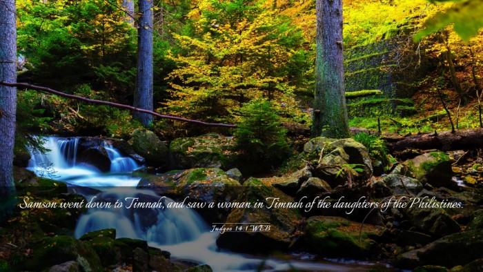 Picture 03 - Judges 14:1 WEB Desktop Wallpaper - Samson went down to Timnah, and saw a woman in - Desktop Bible Verse Wallpaper