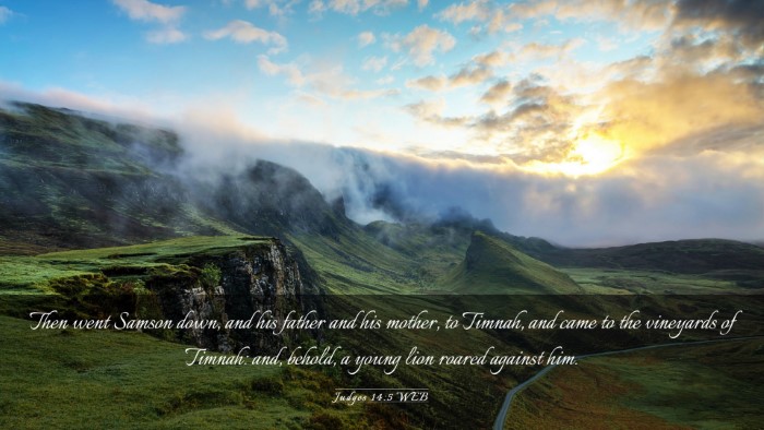 Picture 03 - Judges 14:5 WEB Desktop Wallpaper - Then went Samson down, and his father and his - Desktop Bible Verse Wallpaper