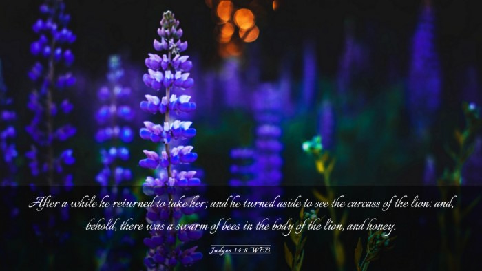 Picture 03 - Judges 14:8 WEB Desktop Wallpaper - After a while he returned to take her; and he - Desktop Bible Verse Wallpaper