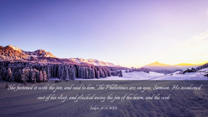 Picture 03 - Judges 16:14 WEB Desktop Wallpaper - She fastened it with the pin, and said to him, - Desktop Bible Verse Wallpaper