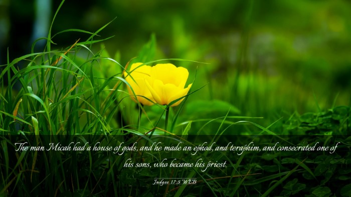 Picture 03 - Judges 17:5 WEB Desktop Wallpaper - The man Micah had a house of gods, and he made an - Desktop Bible Verse Wallpaper