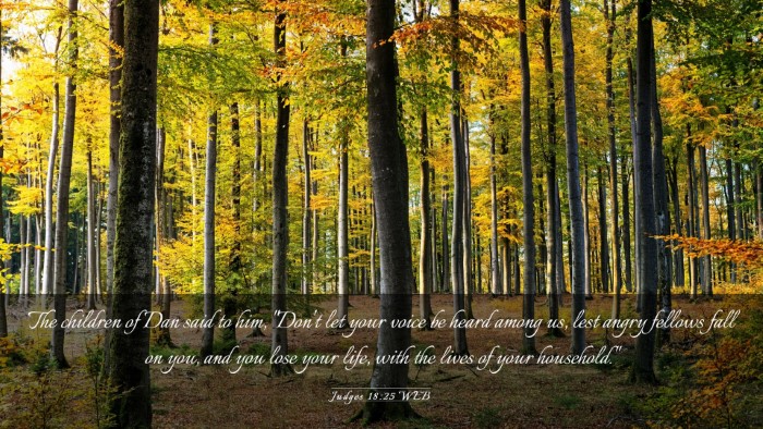 Picture 03 - Judges 18:25 WEB Desktop Wallpaper - The children of Dan said to him, 