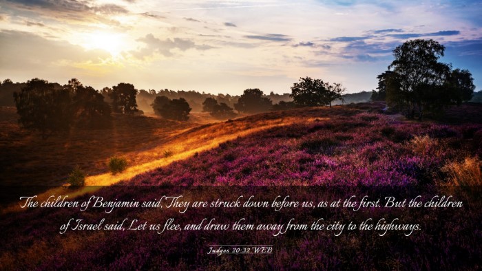 Picture 03 - Judges 20:32 WEB Desktop Wallpaper - The children of Benjamin said, They are struck - Desktop Bible Verse Wallpaper