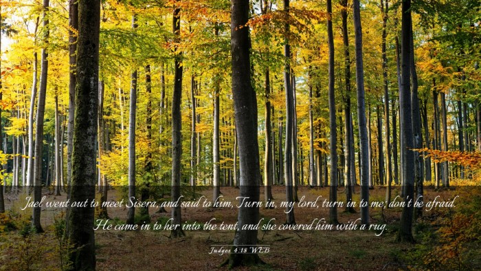 Picture 03 - Judges 4:18 WEB Desktop Wallpaper - Jael went out to meet Sisera, and said to him, - Desktop Bible Verse Wallpaper