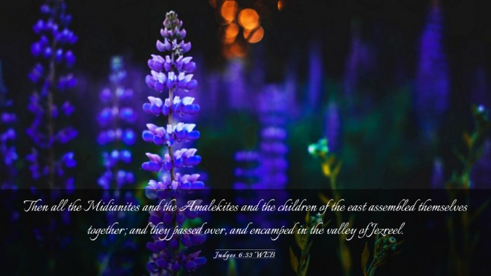 Picture 03 - Judges 6:33 WEB Desktop Wallpaper - Then all the Midianites and the Amalekites and - Desktop Bible Verse Wallpaper