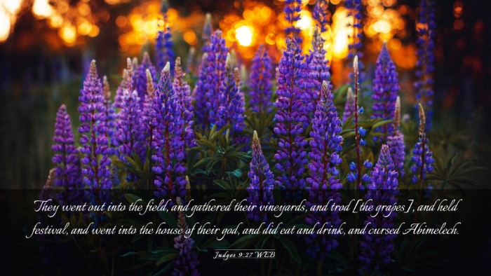 Picture 03 - Judges 9:27 WEB Desktop Wallpaper - They went out into the field, and gathered their - Desktop Bible Verse Wallpaper