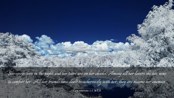 Picture 03 - Lamentations 1:2 WEB Desktop Wallpaper - She weeps sore in the night, and her tears are on - Desktop Bible Verse Wallpaper