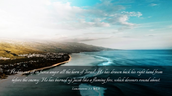 Picture 03 - Lamentations 2:3 WEB Desktop Wallpaper - He has cut off in fierce anger all the horn of - Desktop Bible Verse Wallpaper