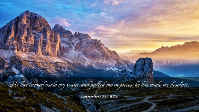 Picture 03 - Lamentations 3:11 WEB Desktop Wallpaper - He has turned aside my ways, and pulled me in - Desktop Bible Verse Wallpaper