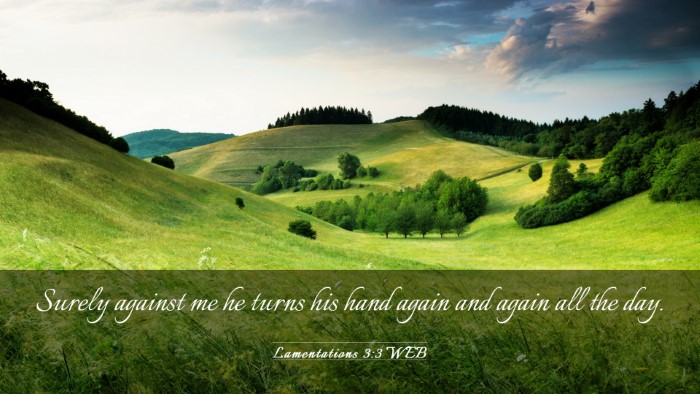 Picture 03 - Lamentations 3:3 WEB Desktop Wallpaper - Surely against me he turns his hand again and - Desktop Bible Verse Wallpaper