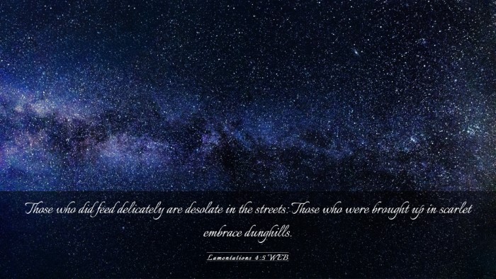 Picture 03 - Lamentations 4:5 WEB Desktop Wallpaper - Those who did feed delicately are desolate in the - Desktop Bible Verse Wallpaper