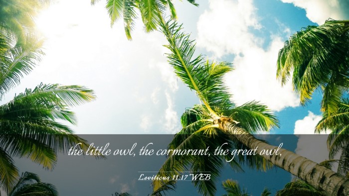 Picture 03 - Leviticus 11:17 WEB Desktop Wallpaper - the little owl, the cormorant, the great - Desktop Bible Verse Wallpaper