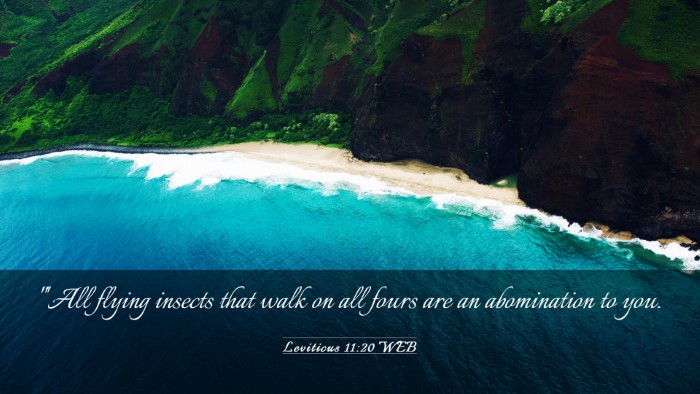 Picture 03 - Leviticus 11:20 WEB Desktop Wallpaper - 