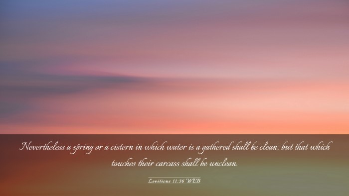 Picture 03 - Leviticus 11:36 WEB Desktop Wallpaper - Nevertheless a spring or a cistern in which water - Desktop Bible Verse Wallpaper