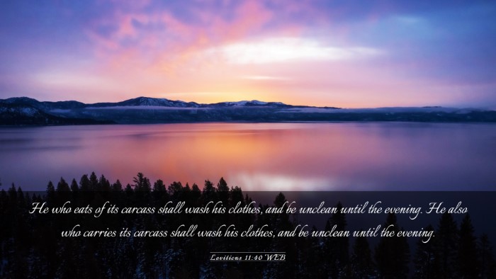 Picture 03 - Leviticus 11:40 WEB Desktop Wallpaper - He who eats of its carcass shall wash his - Desktop Bible Verse Wallpaper