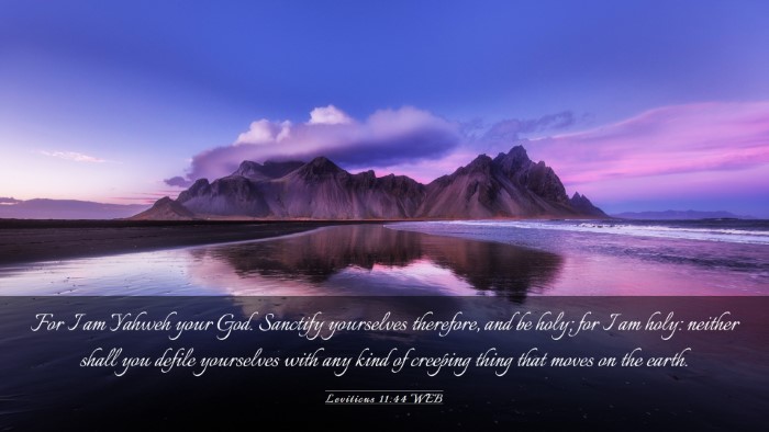 Picture 03 - Leviticus 11:44 WEB Desktop Wallpaper - For I am Yahweh your God. Sanctify yourselves - Desktop Bible Verse Wallpaper