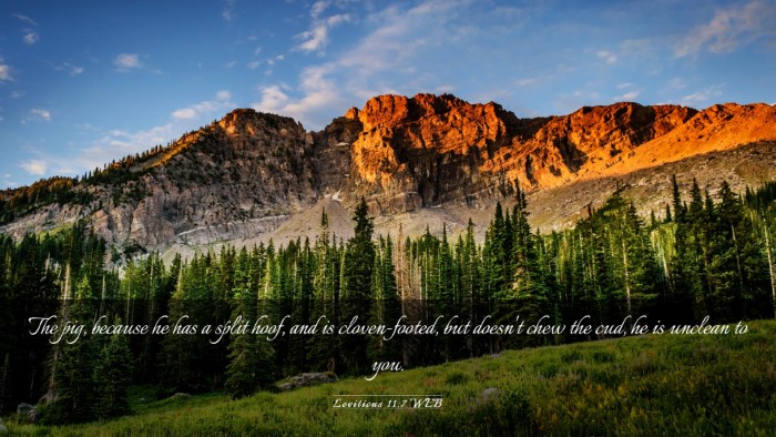 Picture 03 - Leviticus 11:7 WEB Desktop Wallpaper - The pig, because he has a split hoof, and is - Desktop Bible Verse Wallpaper