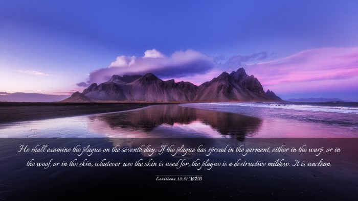 Picture 03 - Leviticus 13:51 WEB Desktop Wallpaper - He shall examine the plague on the seventh day. - Desktop Bible Verse Wallpaper