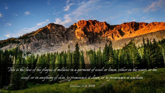 Picture 03 - Leviticus 13:59 WEB Desktop Wallpaper - This is the law of the plague of mildew in a - Desktop Bible Verse Wallpaper
