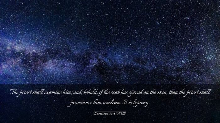 Picture 03 - Leviticus 13:8 WEB Desktop Wallpaper - The priest shall examine him; and, behold, if the - Desktop Bible Verse Wallpaper