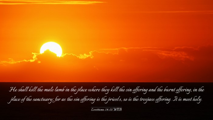 Picture 03 - Leviticus 14:13 WEB Desktop Wallpaper - He shall kill the male lamb in the place where - Desktop Bible Verse Wallpaper