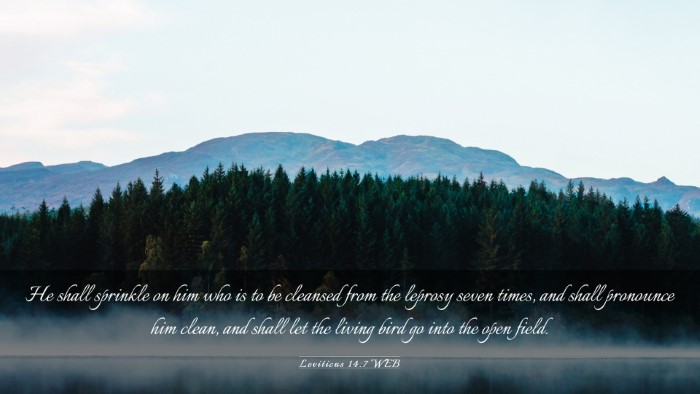 Picture 03 - Leviticus 14:7 WEB Desktop Wallpaper - He shall sprinkle on him who is to be cleansed - Desktop Bible Verse Wallpaper