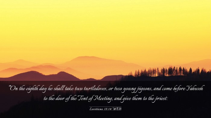 Picture 03 - Leviticus 15:14 WEB Desktop Wallpaper - 