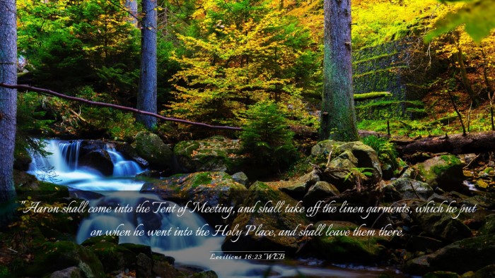 Picture 03 - Leviticus 16:23 WEB Desktop Wallpaper - 