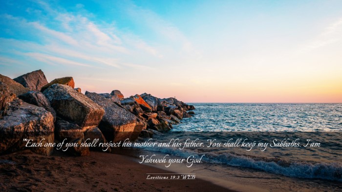 Picture 03 - Leviticus 19:3 WEB Desktop Wallpaper - 