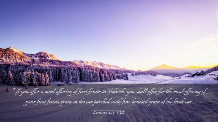 Picture 03 - Leviticus 2:14 WEB Desktop Wallpaper - 