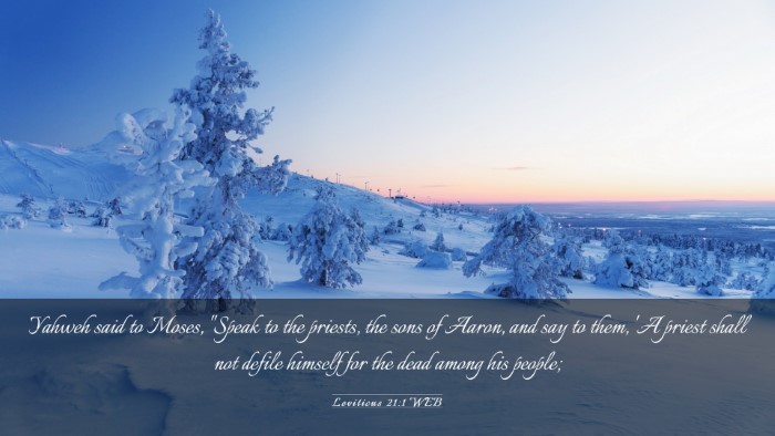 Picture 03 - Leviticus 21:1 WEB Desktop Wallpaper - Yahweh said to Moses, 