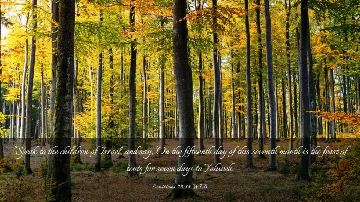 Picture 03 - Leviticus 23:34 WEB Desktop Wallpaper - 