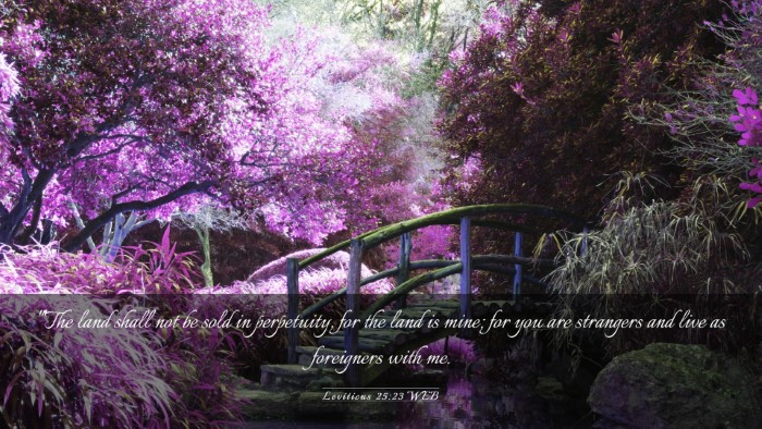 Picture 03 - Leviticus 25:23 WEB Desktop Wallpaper - 