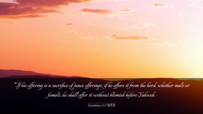 Picture 03 - Leviticus 3:1 WEB Desktop Wallpaper - 