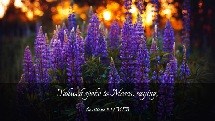Picture 03 - Leviticus 5:14 WEB Desktop Wallpaper - Yahweh spoke to Moses, - Desktop Bible Verse Wallpaper