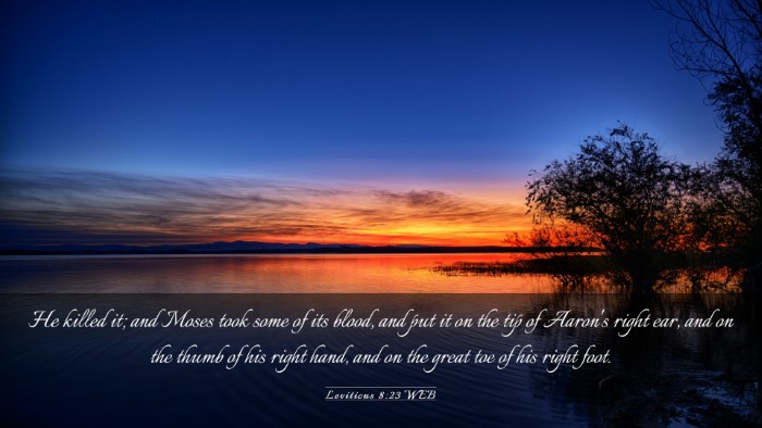Picture 03 - Leviticus 8:23 WEB Desktop Wallpaper - He killed it; and Moses took some of its blood, - Desktop Bible Verse Wallpaper