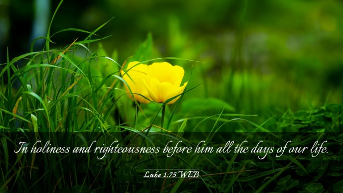 Picture 03 - Luke 1:75 WEB Desktop Wallpaper - In holiness and righteousness before him all the - Desktop Bible Verse Wallpaper