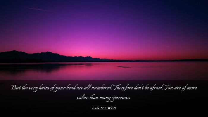 Picture 03 - Luke 12:7 WEB Desktop Wallpaper - But the very hairs of your head are all numbered. - Desktop Bible Verse Wallpaper
