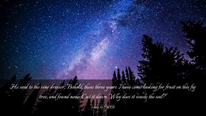 Picture 03 - Luke 13:7 WEB Desktop Wallpaper - He said to the vine dresser, 'Behold, these three - Desktop Bible Verse Wallpaper