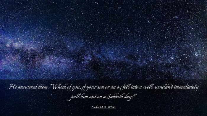 Picture 03 - Luke 14:5 WEB Desktop Wallpaper - He answered them, 