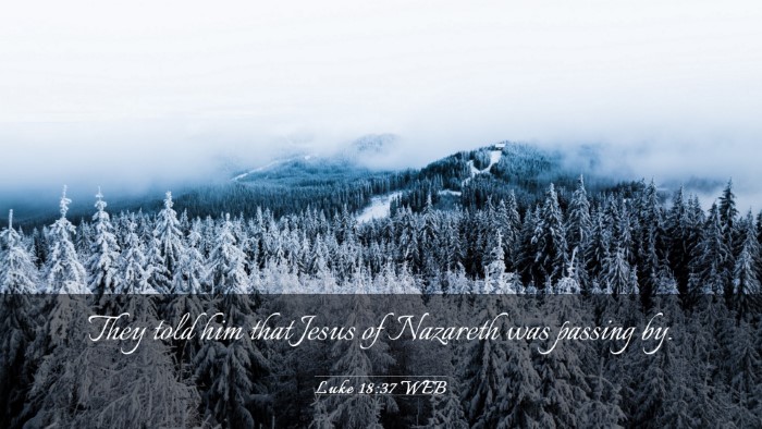 Picture 03 - Luke 18:37 WEB Desktop Wallpaper - They told him that Jesus of Nazareth was passing - Desktop Bible Verse Wallpaper
