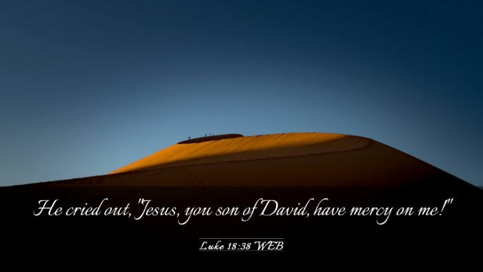 Picture 03 - Luke 18:38 WEB Desktop Wallpaper - He cried out, 