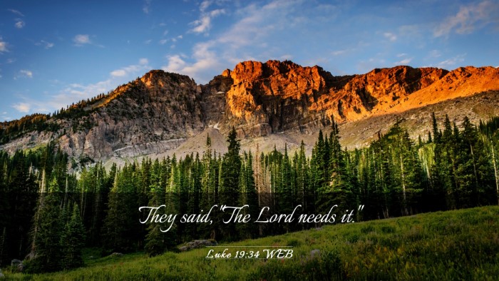 Picture 03 - Luke 19:34 WEB Desktop Wallpaper - They said, 