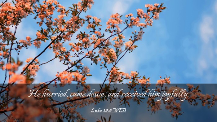 Picture 03 - Luke 19:6 WEB Desktop Wallpaper - He hurried, came down, and received him - Desktop Bible Verse Wallpaper